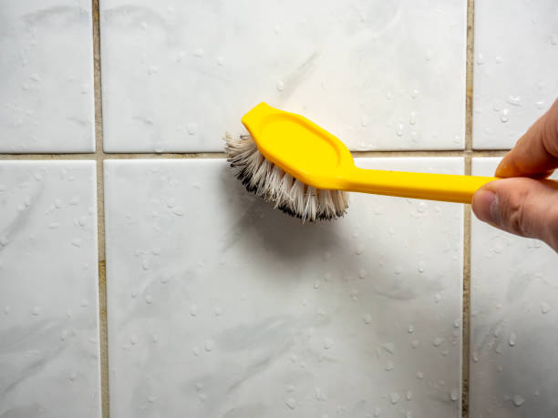 Best Mold Remediation  in Newburgh Heights, OH