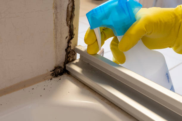 Best Crawl Space Mold Removal  in Newburgh Heights, OH