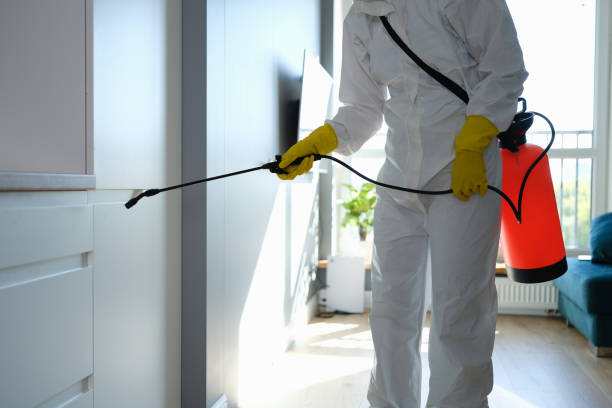 Crawl Space Mold Removal in Newburgh Heights, OH